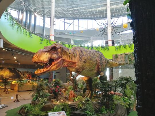 Enhanced Dinosaur Exhibition
